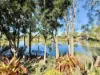 16 Conservation Drive, Urraween, Qld 4655-Image