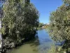 16 Conservation Drive, Urraween, Qld 4655-Image