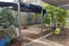 16 Craig Avenue, Warracknabeal, Vic 3393-Image