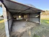 16 Cromie Street, Rupanyup, Vic 3388-Image
