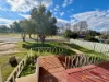 16 Dalgarno Street, Coonabarabran, NSW 2357-Image