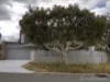 16 Derrington Crescent, Balga, WA 6061-Image