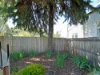 16 Elizabeth Street, Bothwell, Tas 7030-Image