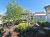 16 Elizabeth Street, Bothwell, Tas 7030-Image