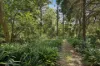 16 Ellison Road, Springwood, NSW 2777-Image