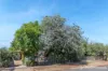 16 Enterprise Road, Elizabeth East, SA 5112-Image