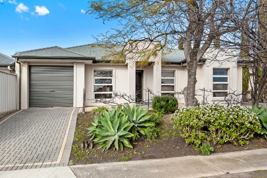 16 Felix Street, Dover Gardens, SA 5048
