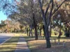 16 Fenchurch Street, Alexander Heights, WA 6064-Image