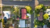16 Ferguson Street, Mount Lofty, Qld 4350-Image