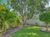 16 Flett Street, Wingham, NSW 2429-Image