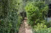 16 Foss Street, Palmyra, WA 6157-Image