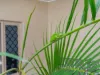 16 Foxtail Street, Mount Sheridan, Qld 4868-Image