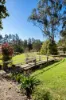 16 Frances Dun Close, Duns Creek, NSW 2321-Image