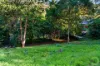 16 Gannet Avenue, Glenalta, SA 5052-Image