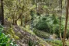 16 Glynne Road, Warranwood, Vic 3134-Image