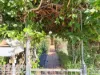 16 Gordon Street, Richmond Hill, Qld 4820-Image