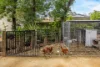 16 Gorse Avenue, Hawthorndene, SA 5051-Image