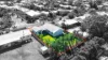 16 Harlequin Street, White Rock, Qld 4868-Image