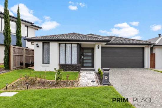 16 Hedge Lane, Greenbank, Qld 4124 - For Rent