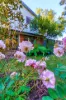 16 Hedley, Hackett, ACT 2602-Image