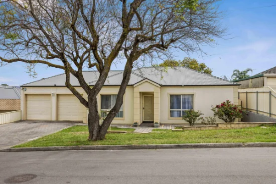 16 Henry Street, Modbury, SA 5092