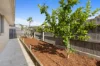 16 Hesba Brinsmead Street, Franklin, ACT 2913-Image