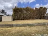 16 Hibiscus Court, Nanango, Qld 4615-Image