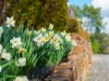 16 Highfield Road, Ambleside, Tas 7310-Image