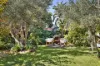 16 Hillcrest Avenue, Ashfield, NSW 2131-Image