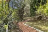 16 Ingram Street, South Hobart, Tas 7004-Image