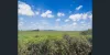 16 Irvine Street, Kairi, Qld 4872-Image