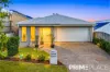 16 Ivanhoe Street, Spring Mountain, Qld 4300-Image