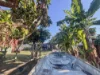 16 Jackey Jackey Street, South Mission Beach, Qld 4852-Image