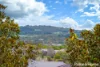 16 Jacksons Creek Way, Gisborne, Vic 3437-Image