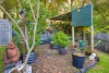 16 Kestrel Street, Aroona, Qld 4551-Image