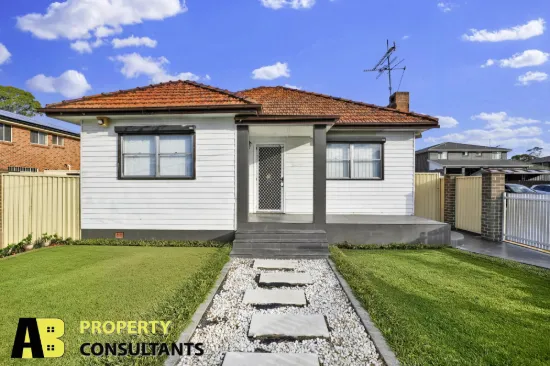 16 Kurrajong Avenue, Mount Druitt, NSW 2770