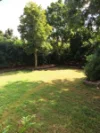 16 Lesina Street, Keperra, Qld 4054-Image