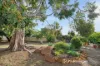 16 Lewis Road, Kalamunda, WA 6076-Image