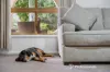 16 Lewis Road, Kalamunda, WA 6076-Image