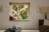 16 Lilley Road, Bardon QLD 4065-Image