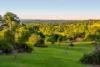 16 Lincoln Avenue, McLeans Ridges, NSW 2480-Image