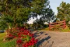 16 Lincoln Avenue, McLeans Ridges, NSW 2480-Image