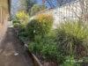 16 Lindsay Avenue, Inverell, NSW 2360-Image