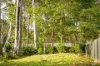 16 Loader Parade, Narooma, NSW 2546-Image