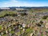 16 Lorymer Place, Shorewell Park, Tas 7320-Image