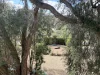 16 Lucien Road, Rye, Vic 3941-Image