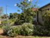 16 Lynch Street, Parkes, NSW 2870-Image