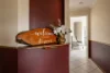 16 MacKay Road, Dalyellup, WA 6230-Image