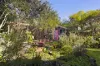 16 Macquarie Terrace, Balmain, NSW 2041-Image