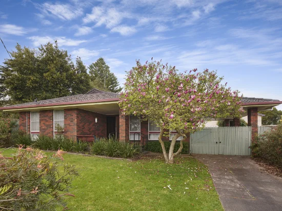 16 Main Neerim Road, Drouin, Vic 3818